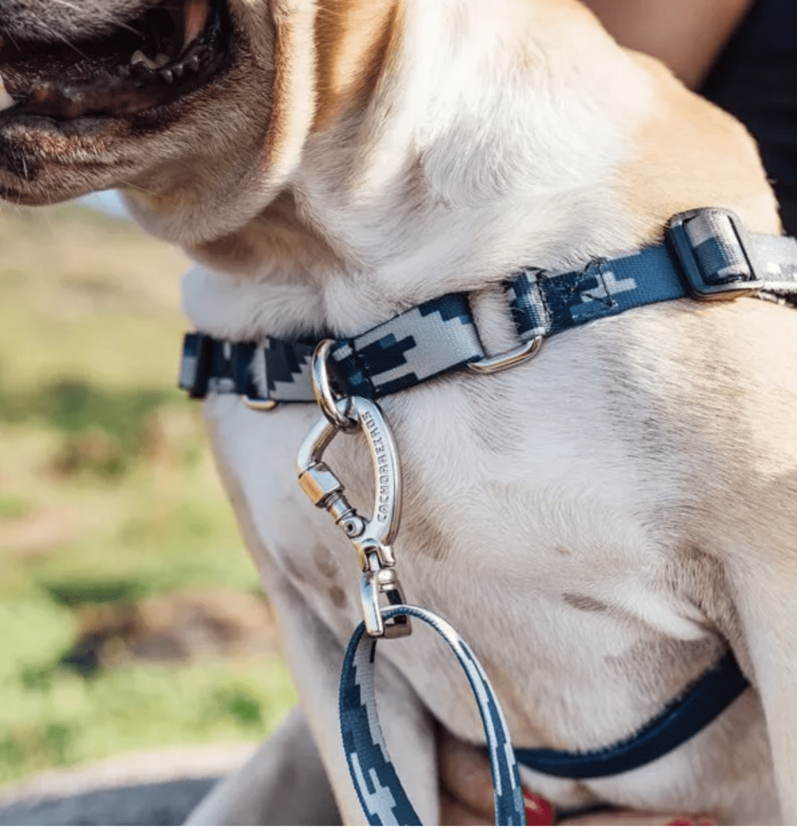 CACHORREIROS ARNES ANTIJALONES CAMUFLADO GRIS6