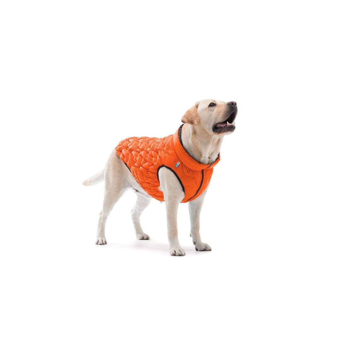 AIRY VEST REVERSIBLE UNI NARANJA NEGRO2