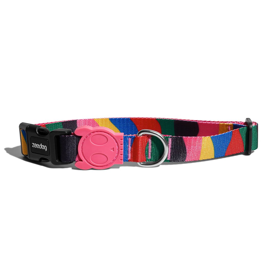 ZEEDOG COLLAR CHROMA1