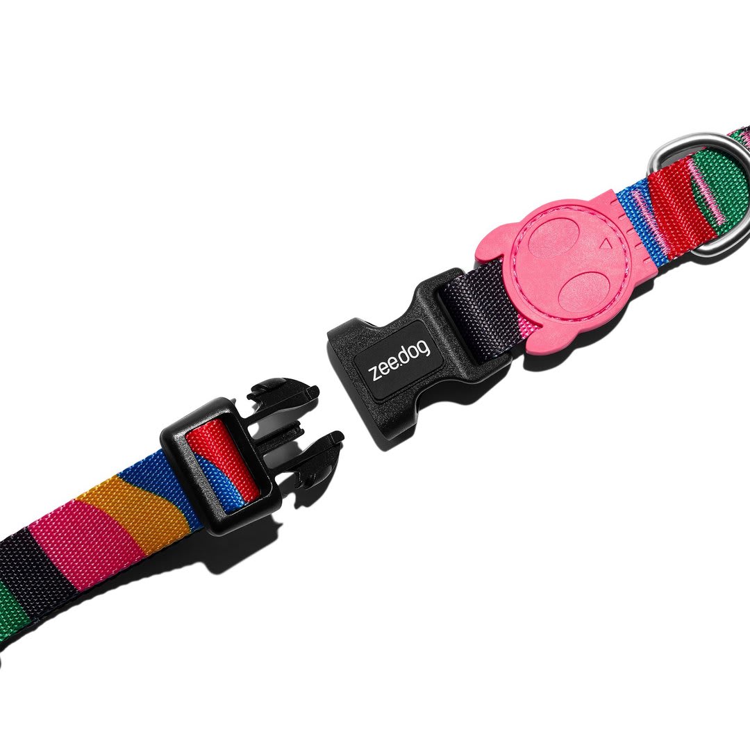 ZEEDOG COLLAR CHROMA2