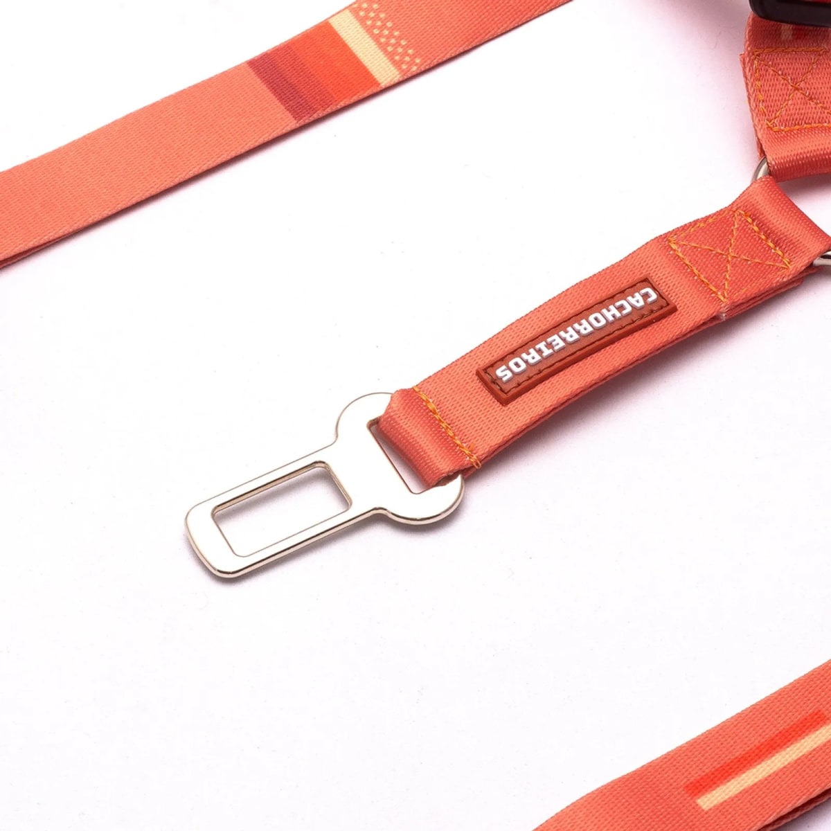 CACHORREIROS CINTURON DE SEGURIDAD DOBLE CORAL3