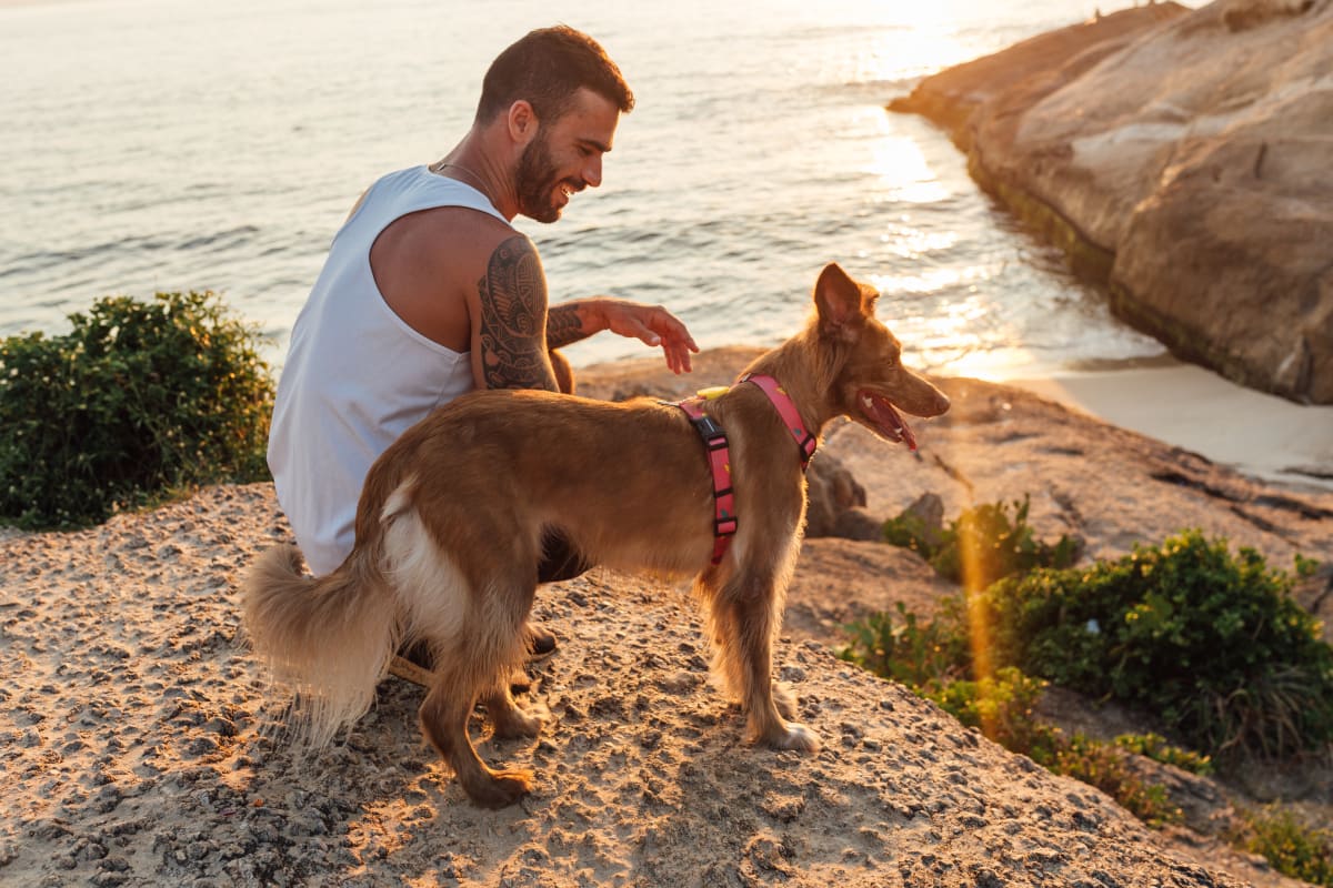 CACHORREIROS ARNES OLIVIA4