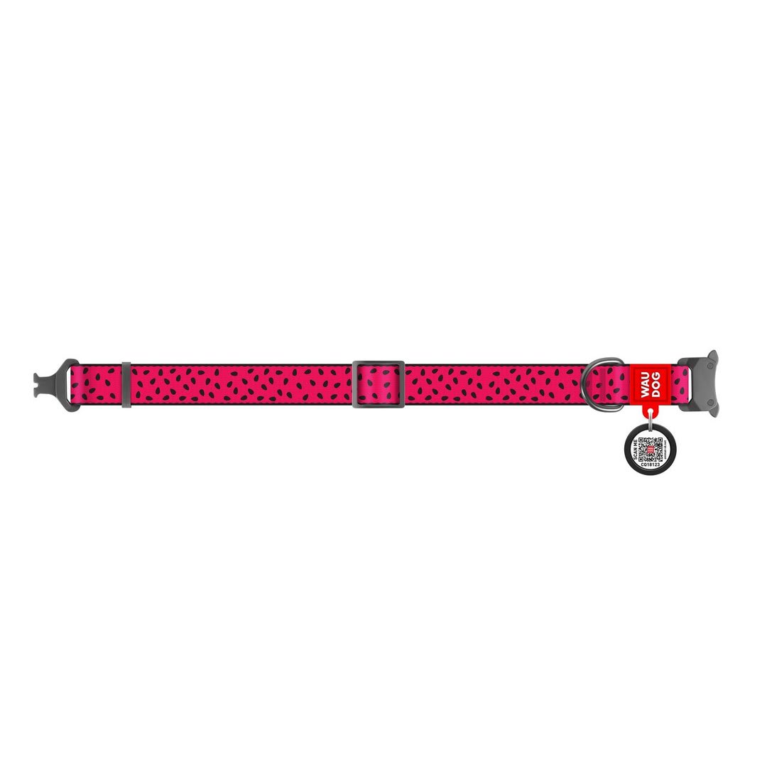 WAUDOG COLLAR WATERMELON - HEBILLA FASTEX METAL - PLACA QR4