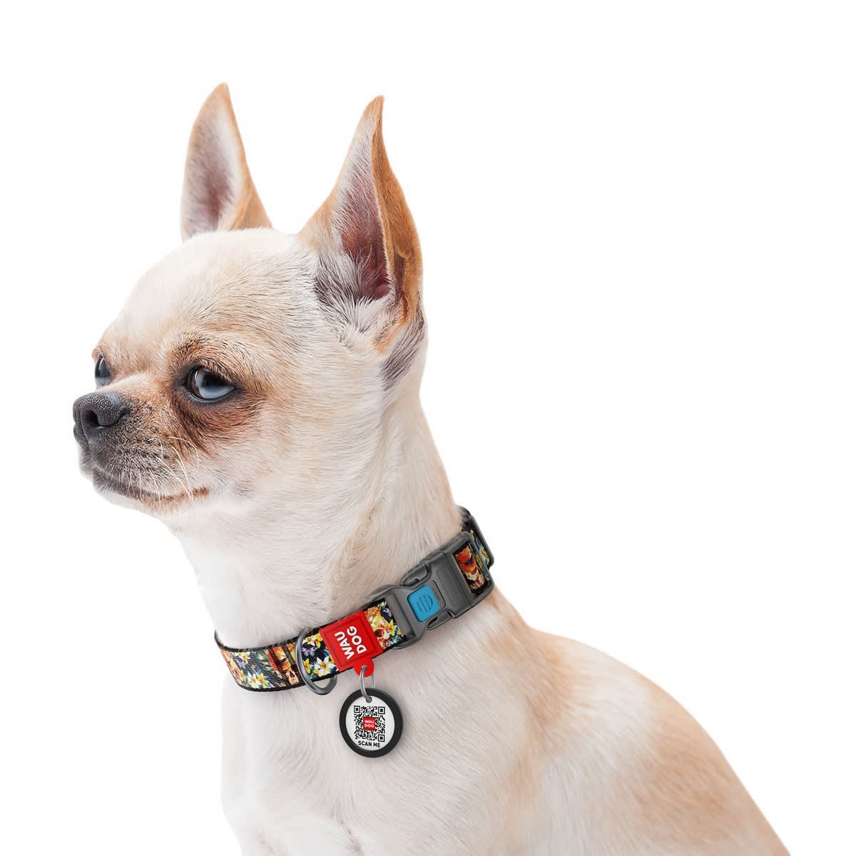 WAUDOG COLLAR GLAMOROUS SKULLS - HEBILLA FASTEX - PLACA QR3