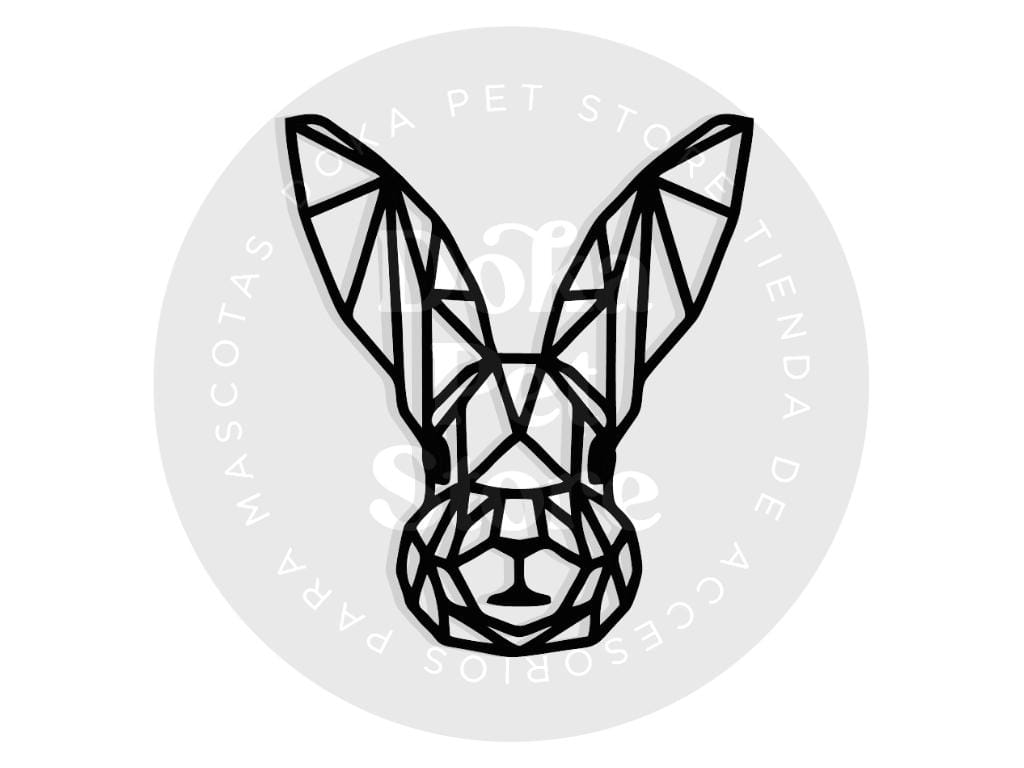 GEOMÉTRICO CONEJO 21