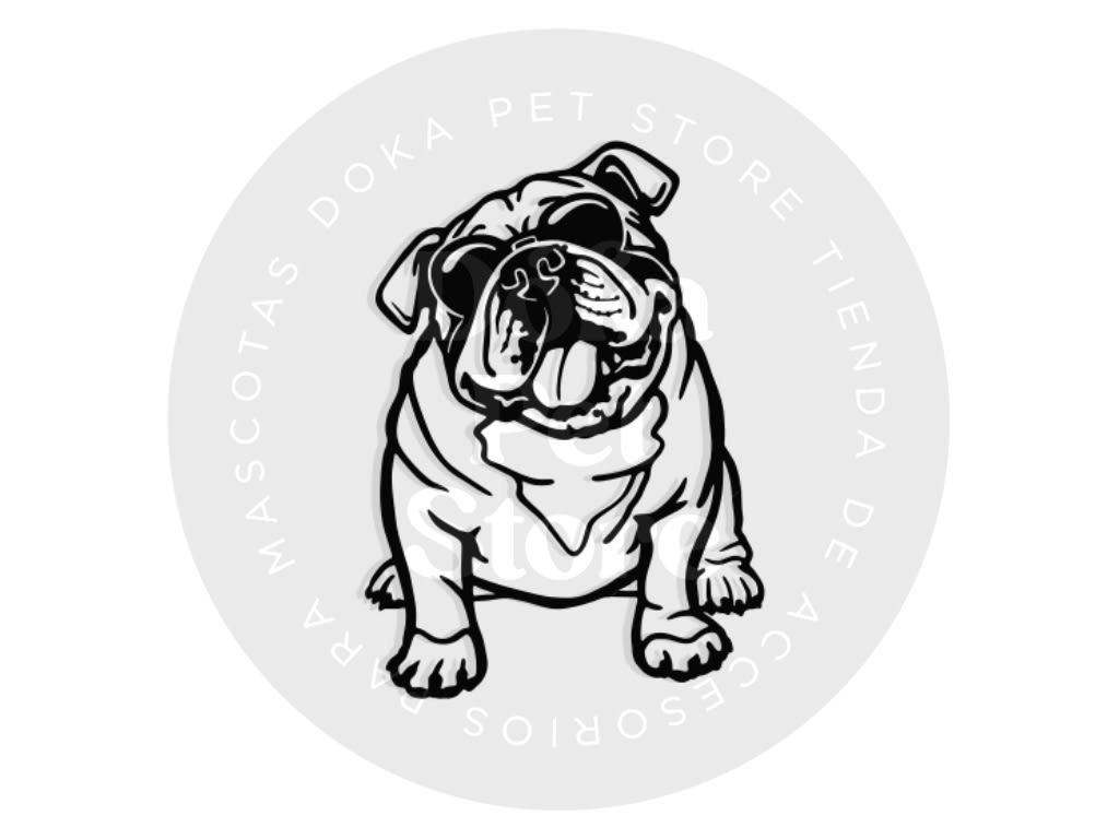 COOL BULLDOG INGLÉS1