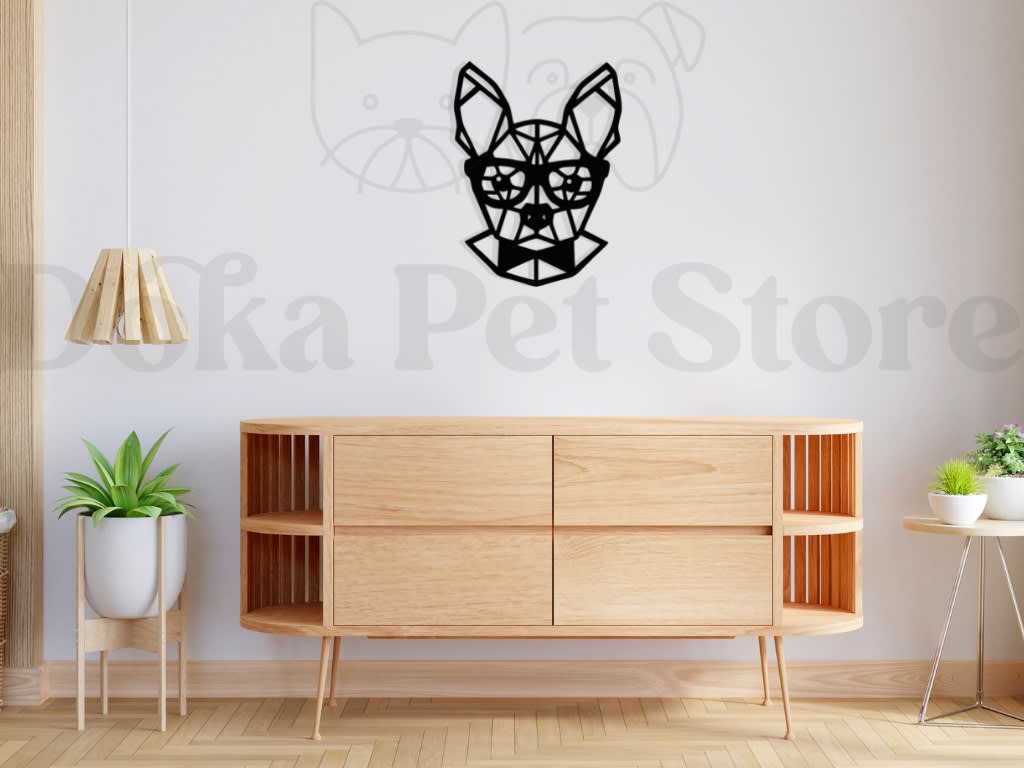 COOL CHIHUAHUA2