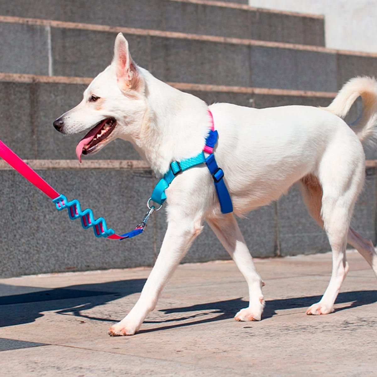 ZEEDOG SOFT WALK HARNESS COOLY2