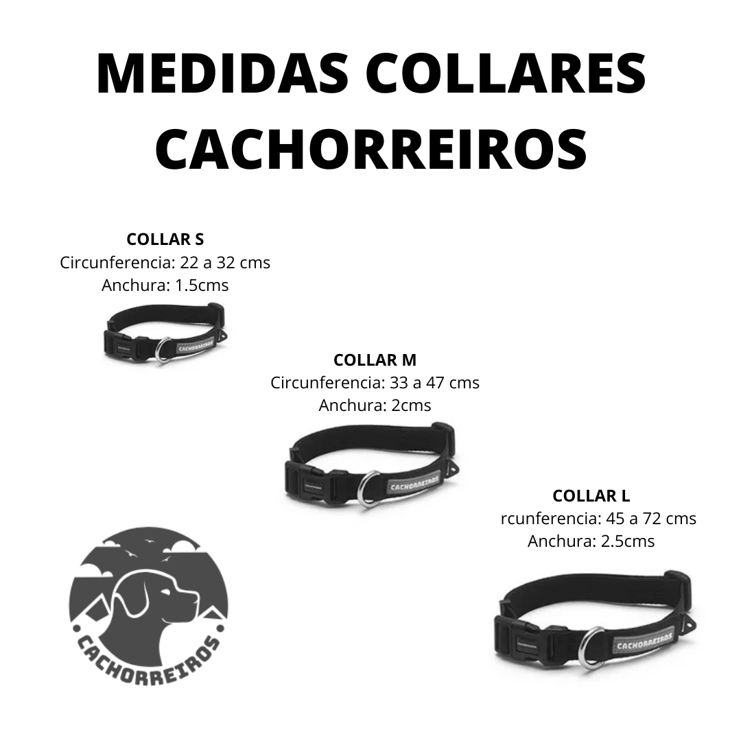 CACHORREIROS COLLAR HONEY3