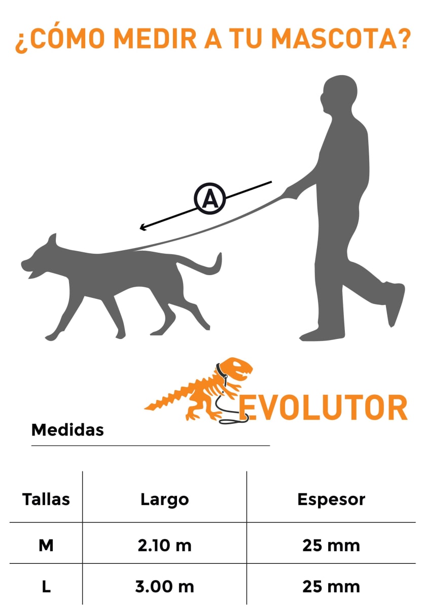 EVOLUTOR CORREA LILA5