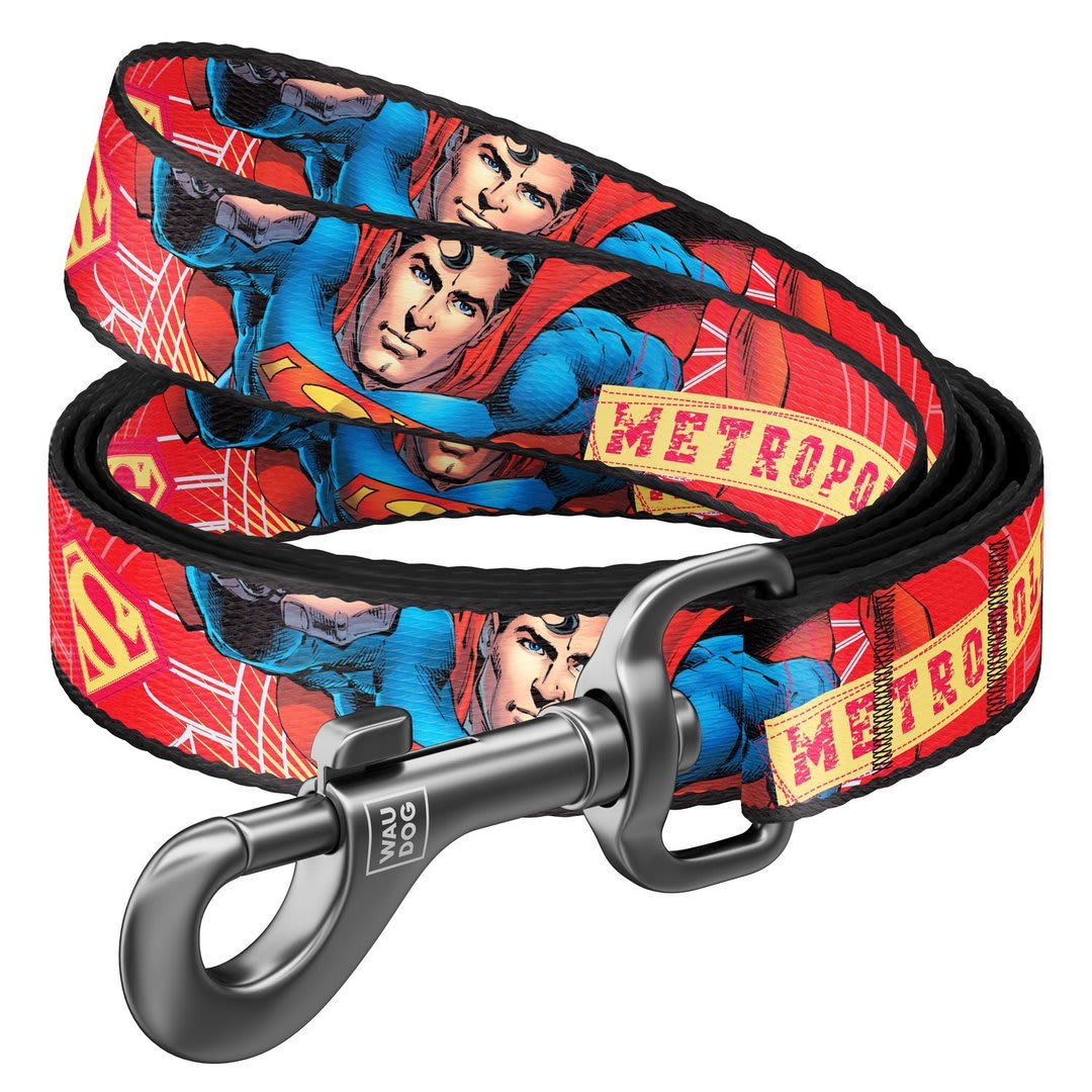 WAUDOG CORREA SUPERMAN HERO1