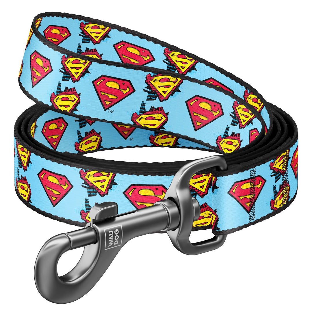 WAUDOG CORREA SUPERMAN1