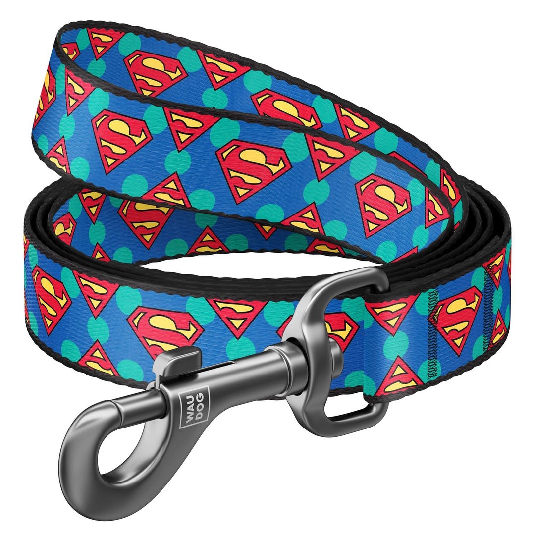 WAUDOG CORREA SUPERMAN LOGO1