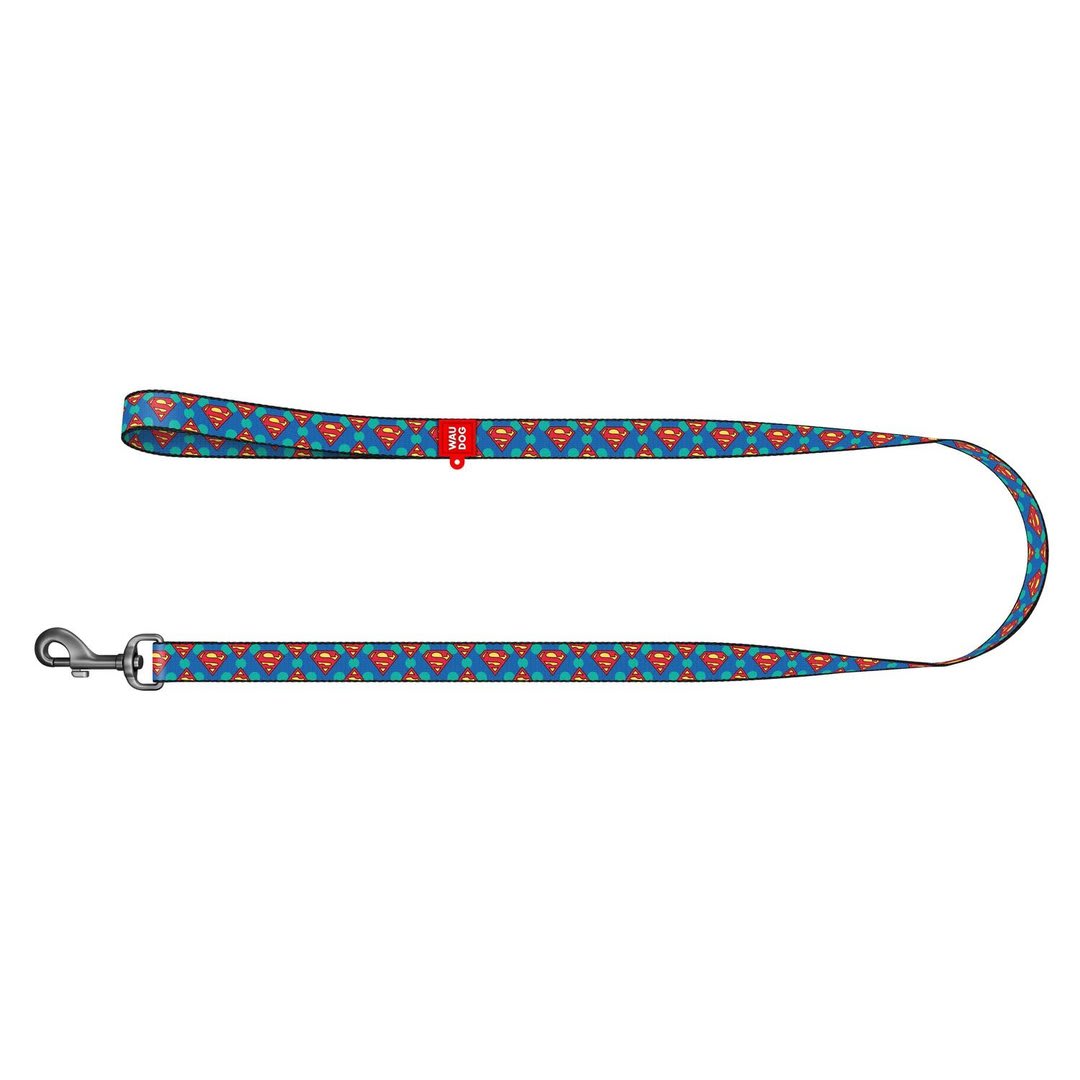 WAUDOG CORREA SUPERMAN LOGO2
