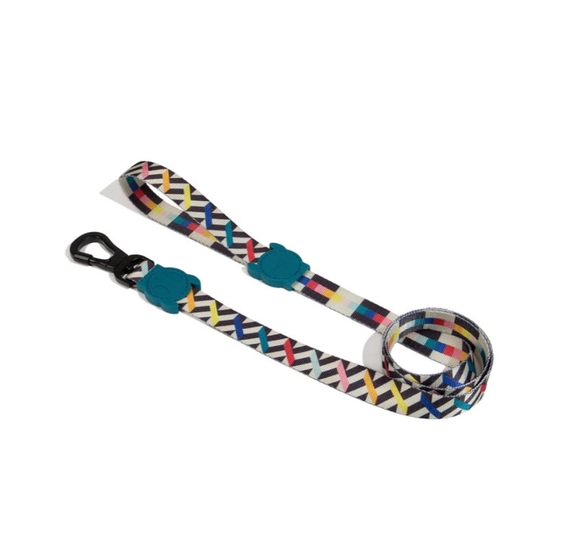 ZEEDOG CORREA FRITZ3