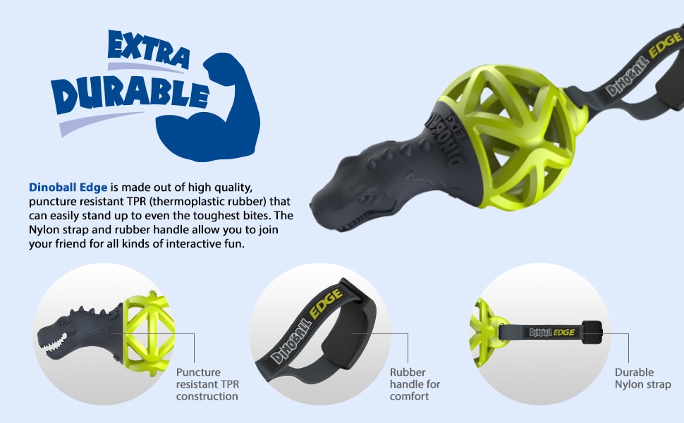 GIGWI DINOBALL EDGE WITH STARP2