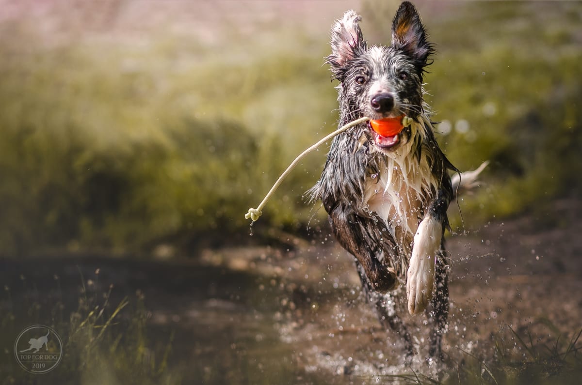 Liker Lumi Pelota con Cuerda que brilla en la oscuridad5