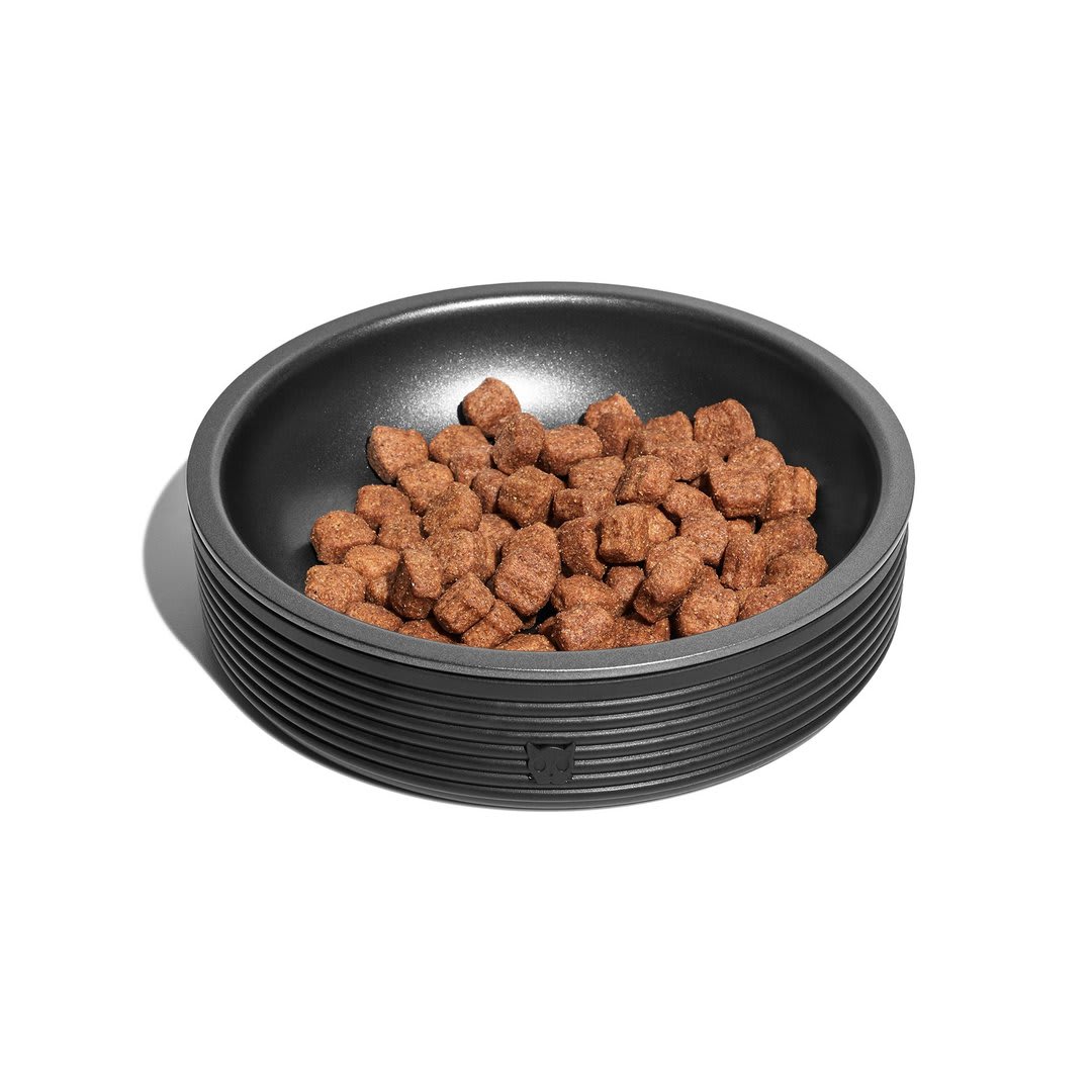 ZEECAT BOWL BLACK2