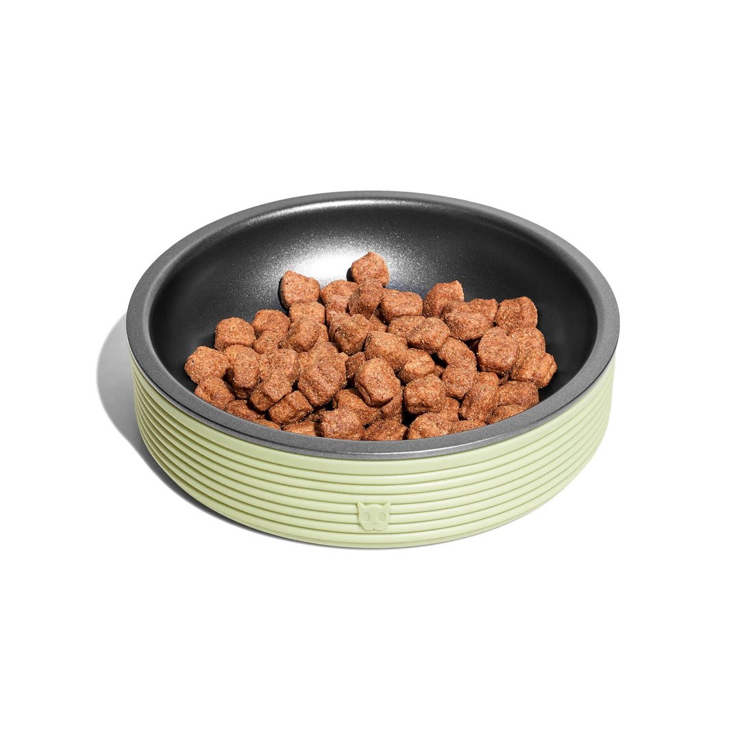 ZEECAT BOWL OLIVE1