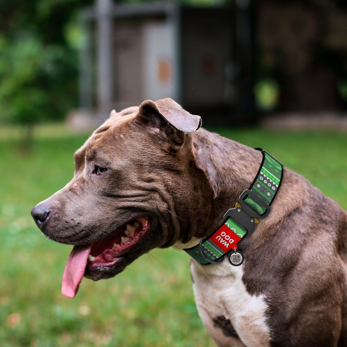 WAUDOG COLLAR ETHNO GREEN - HEBILLA FASTEX METAL - PLACA QR2
