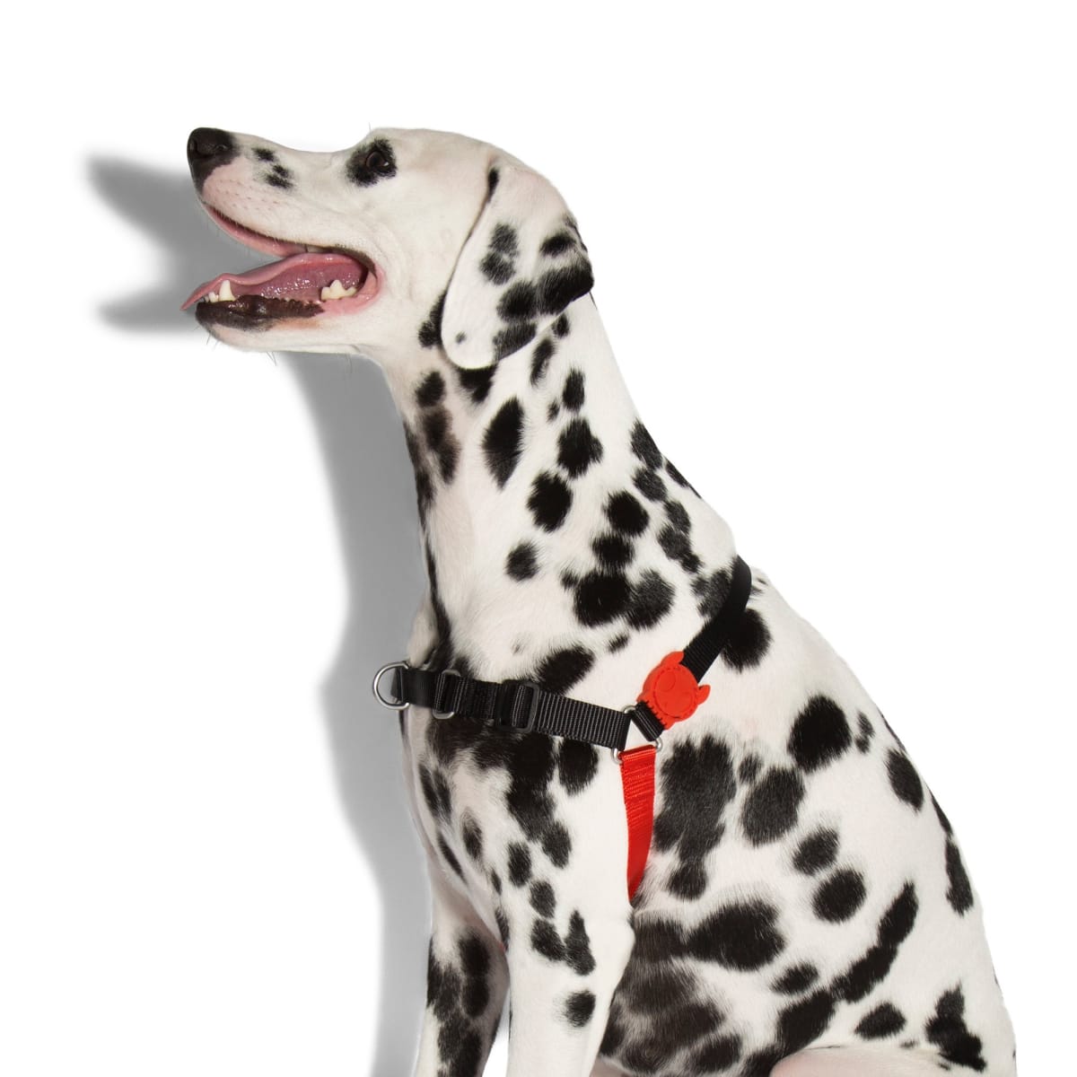 ZEEDOG SOFT WALK HARNESS FATBOY2