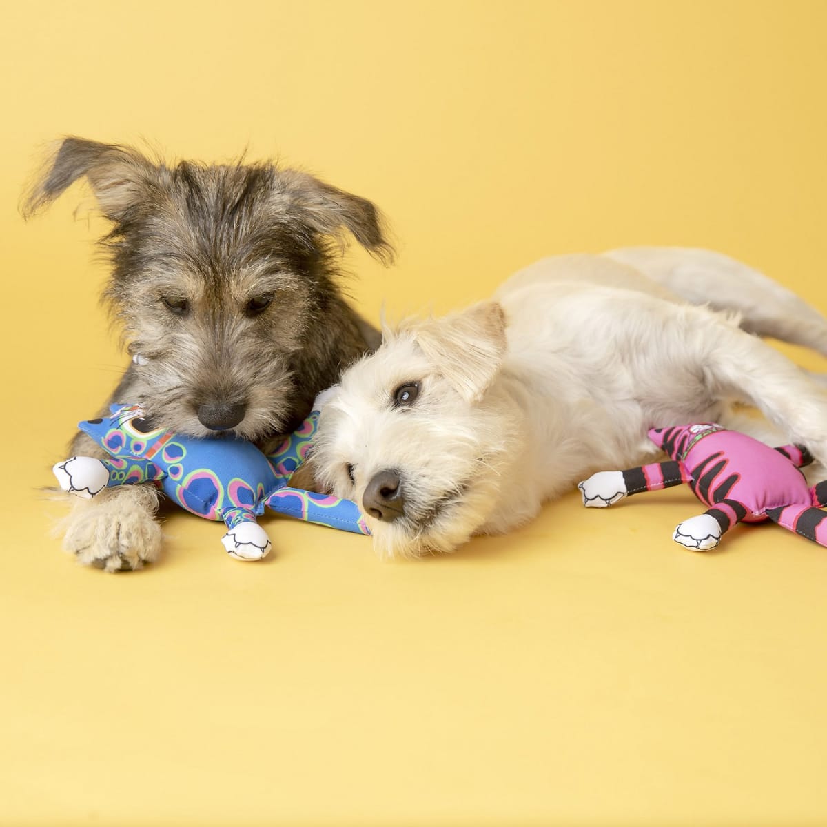 FAT CAT Terrible Nasty Scaries Dog Toy4