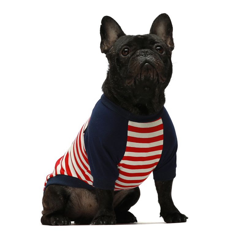 FITWARM POLO AZUL VERDE Y RAYAS PACK 25