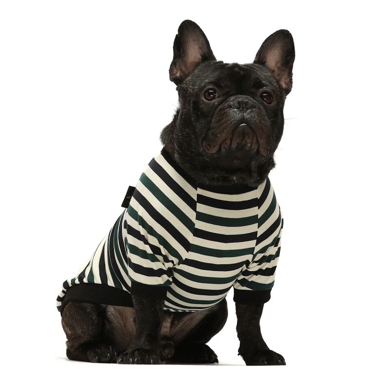 FITWARM POLO AZUL VERDE Y RAYAS PACK 28