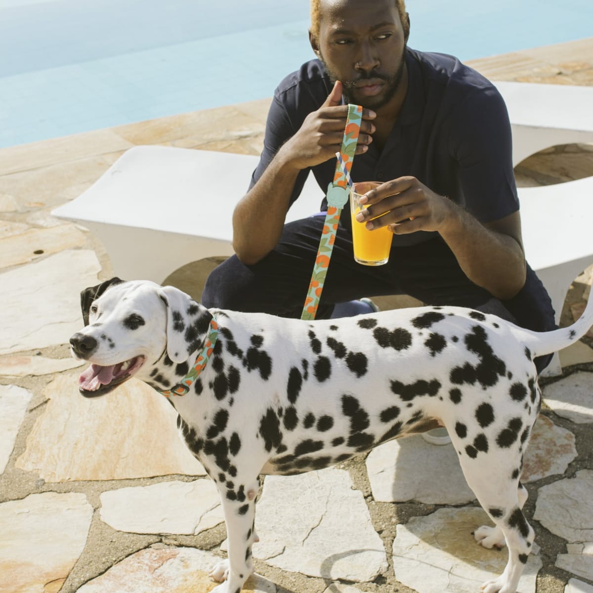 ZEEDOG COLLAR FLORIDA2