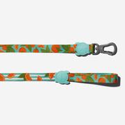 ZEEDOG CORREA FLORIDA3