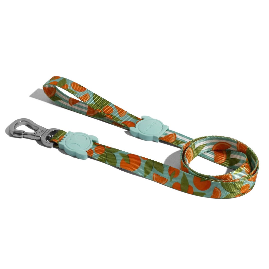 ZEEDOG CORREA FLORIDA1