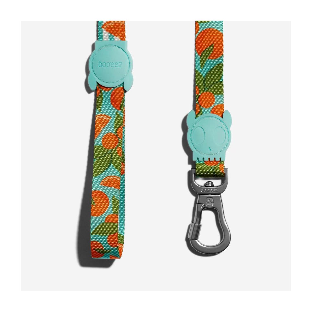 ZEEDOG CORREA FLORIDA5