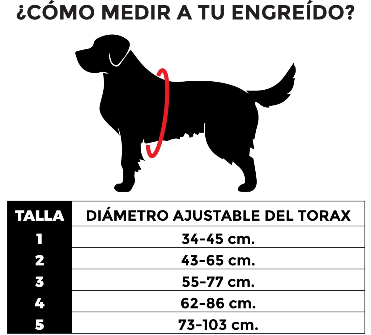 ZEEDOG GOTHAM FLYHARNESS ARNES6