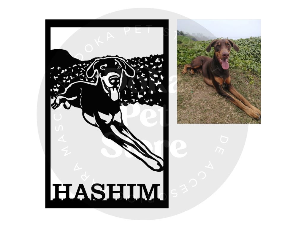 FOTO RETRATO - PERSONALIZACION3