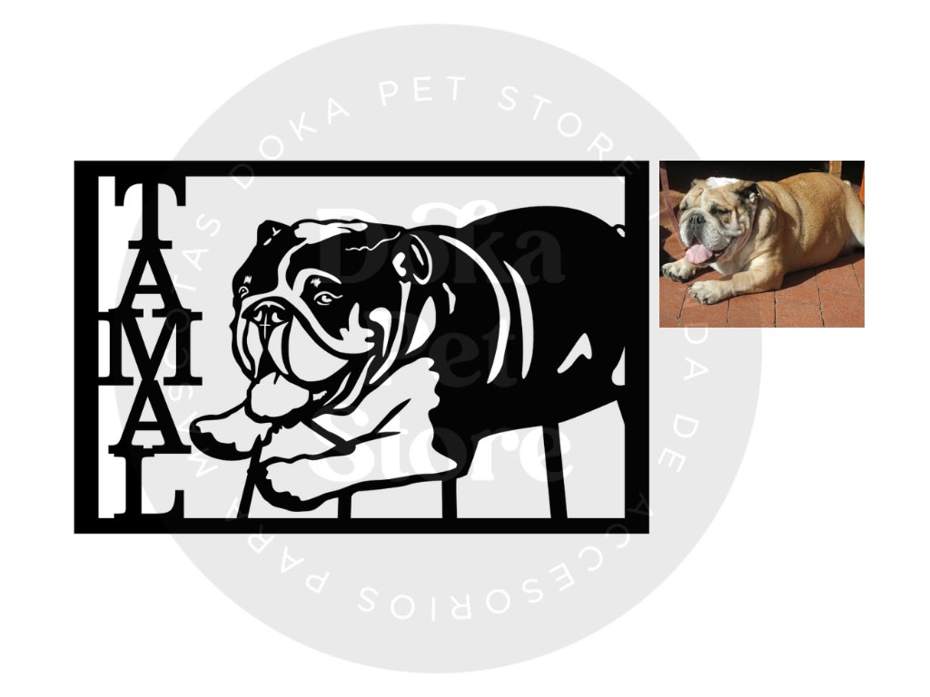 FOTO RETRATO - PERSONALIZACION2