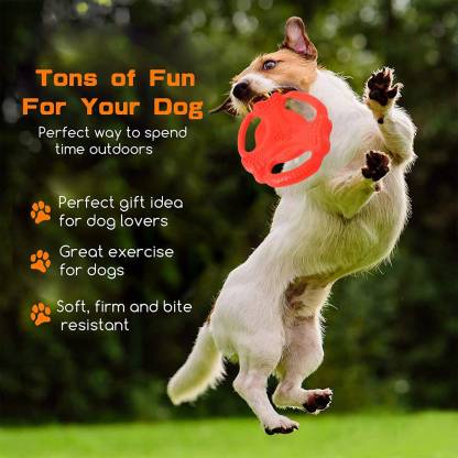 GIGWI TPR BONE FLYING TUG RED2