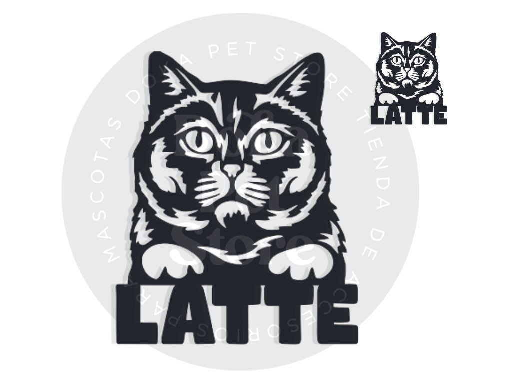 GATO FIGURA1