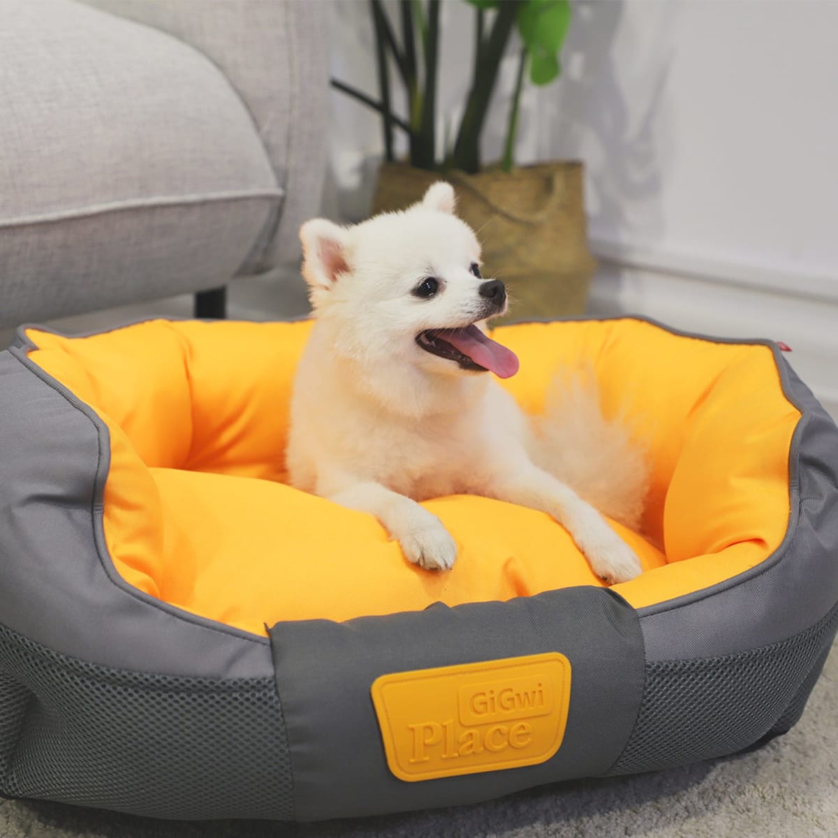 GIGWI GIG PLACE SOFT BED CANVAS, TPR GRAY&ORANGE2