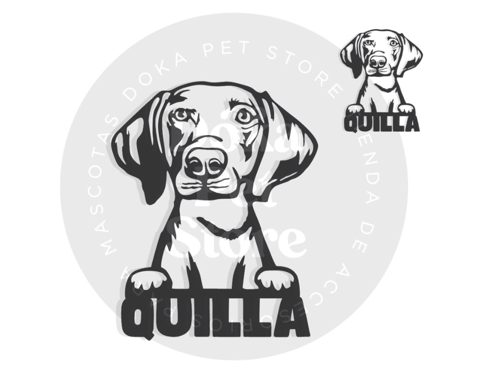 WEIMARANER FIGURA2