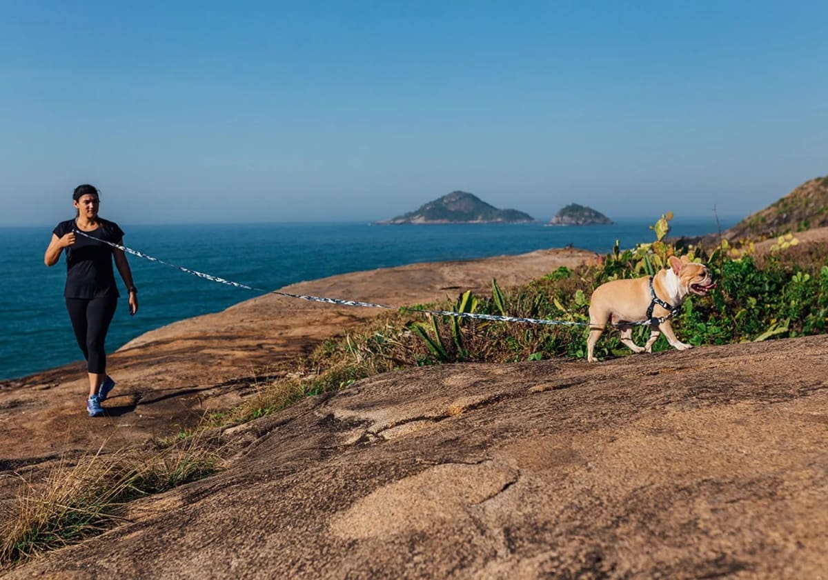 CACHORREIROS CORREA EXTRA LARGA CAMUFLADA GRIS3
