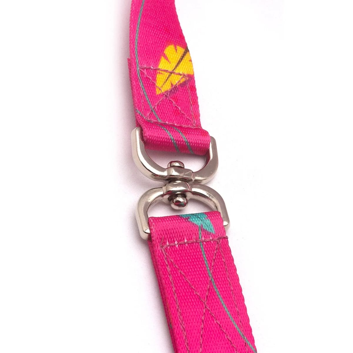 CACHORREIROS CORREA DOBLE OLIVIA4