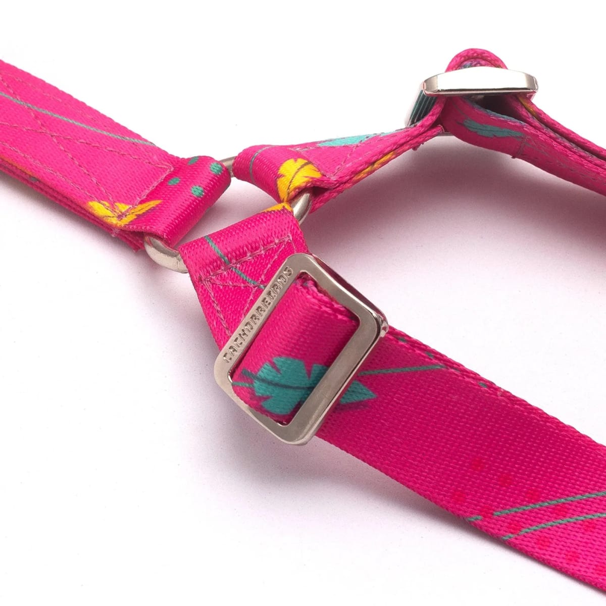 CACHORREIROS CORREA DOBLE OLIVIA2