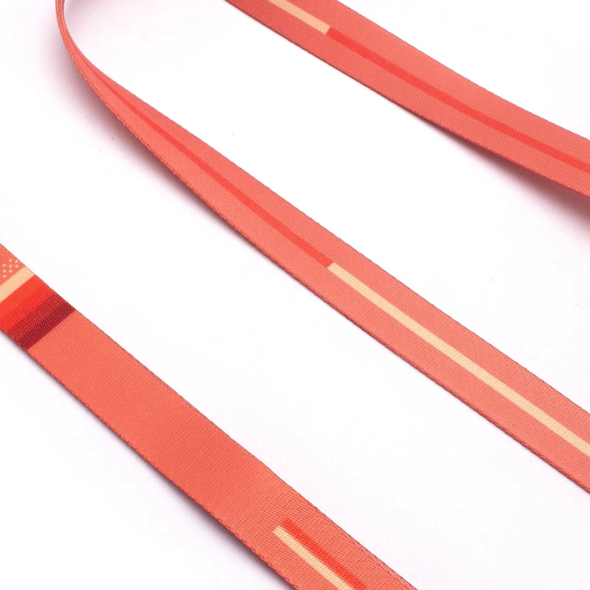 CACHORREIROS CORREA EXTRA LARGA CORAL4