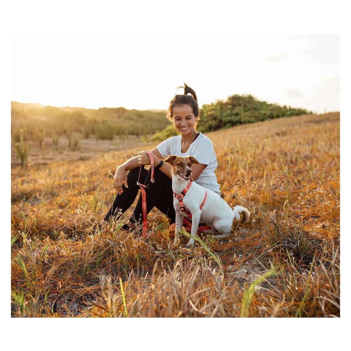 CACHORREIROS CORREA MANOS LIBRES CORAL2