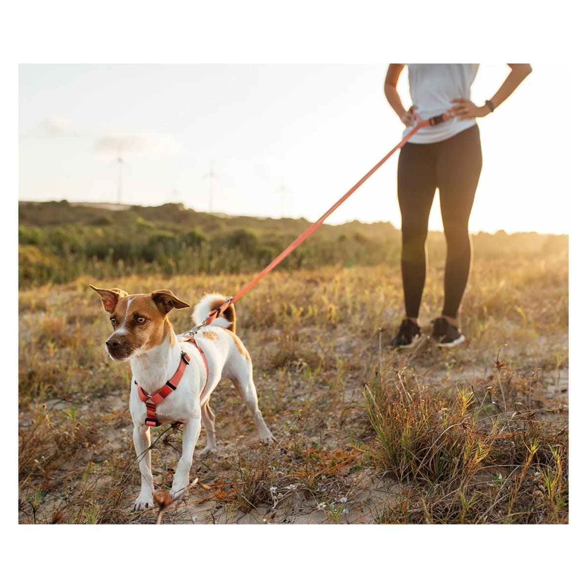 CACHORREIROS CORREA MANOS LIBRES CORAL3