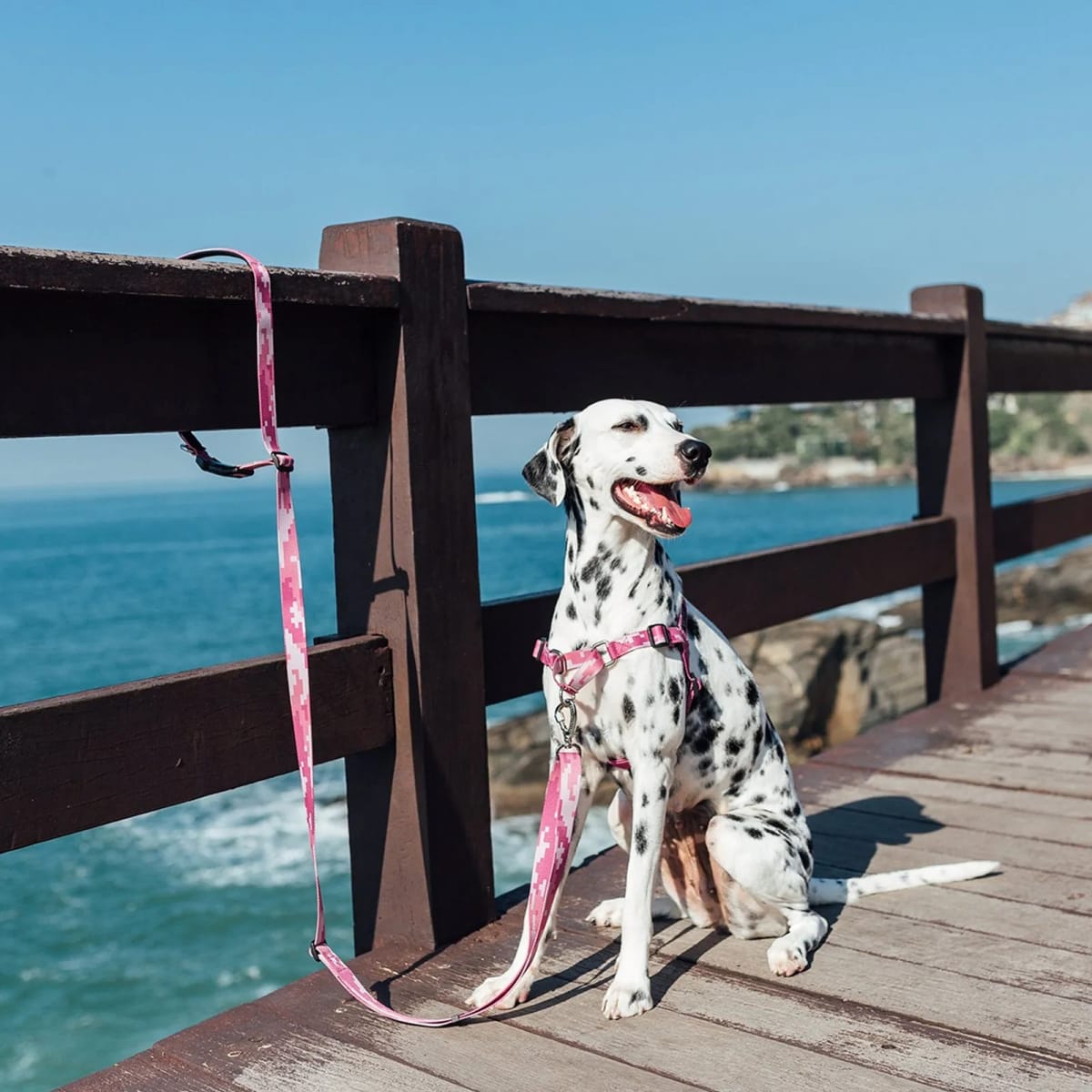 CACHORREIROS CORREA MANOS LIBRES CAMUFLADO ROSADO2