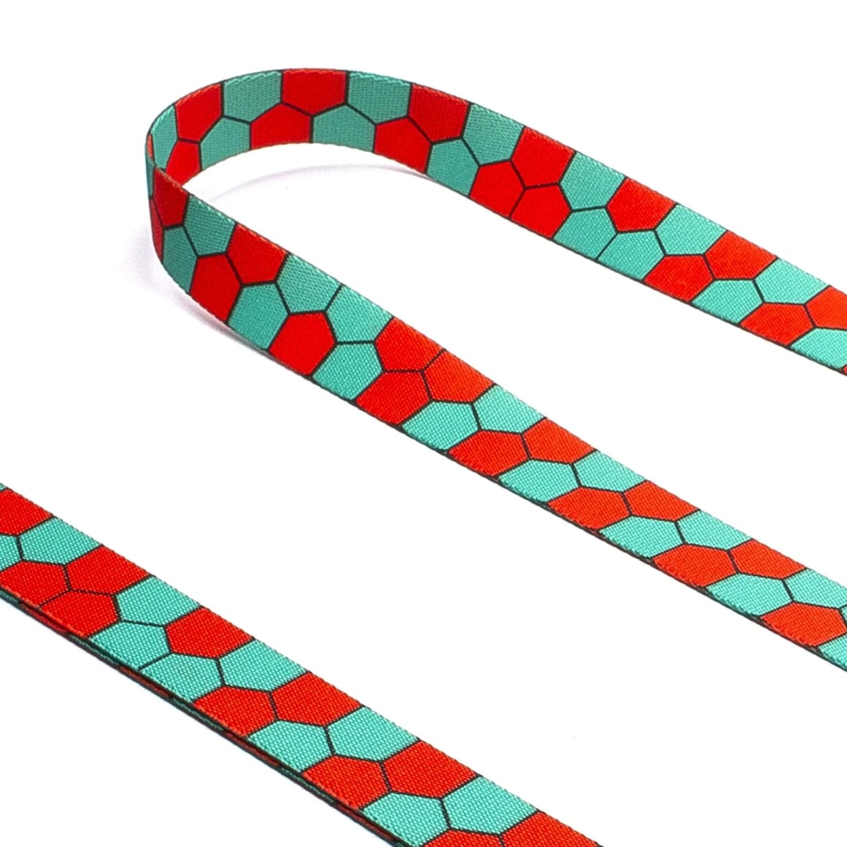 CACHORREIROS CORREA EXTRA LARGA HONEY4