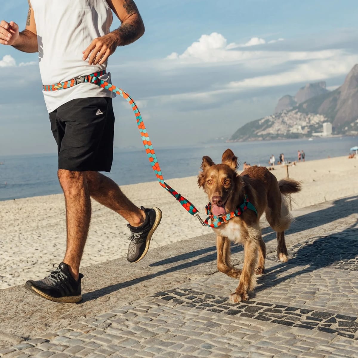 CACHORREIROS CORREA MANOS LIBRES HONEY2