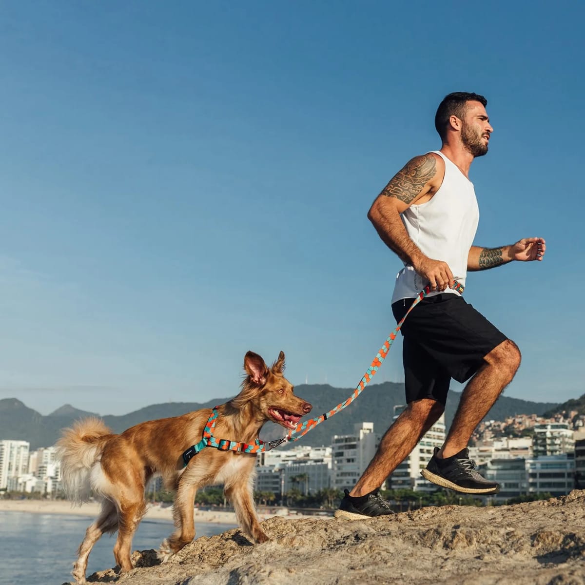 CACHORREIROS CORREA MANOS LIBRES HONEY3