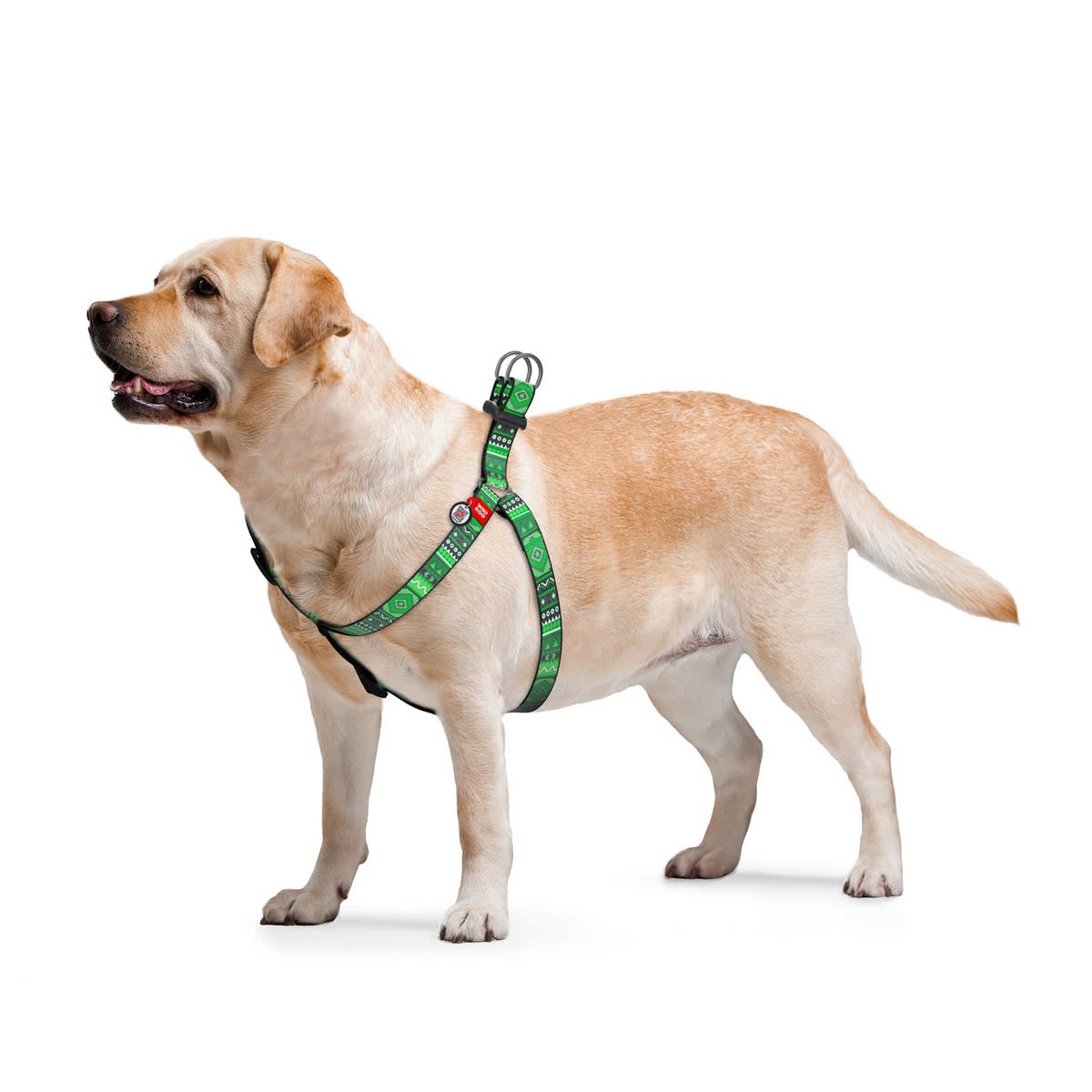 WAUDOG ARNES ETHNO GREEN - HEBILLA FASTEX - PLACA QR2